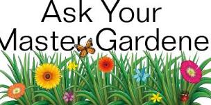 Library - Forest - Master Gardener Plant Clinic