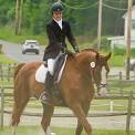 Schooling Dressage Show