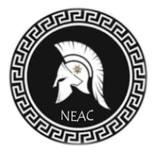 NEAC IRON MAN Challenge