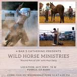 Wild Horse Ministries