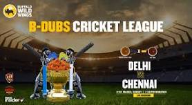 Delhi vs Chennai | B-Dubs Cricket League Live Screening | Blr Airport