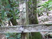 Coontree Trail Loop - offered ONCE this year