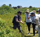 Nature Ramble on Nantucket — Linda Loring Nature Foundation