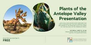 Plants of the Antelope Valley Presentation