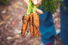 In The Field With Willow Brook Farm