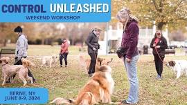 Control Unleashed Weekend Workshop