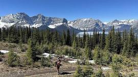 Guided Hike - Lakes and Larches, Kananaskis Fire Lookout  (5IL)