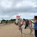 Pony camp down on Papa and Nana's Farm