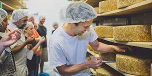 Gunn's Hill Cheese Plant Tour and Tasting