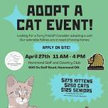 Cats and kittens Adoption event