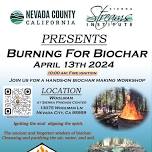 Burning for Biochar