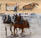 Horse Pulls with Michigan Pony Dynamometer Association