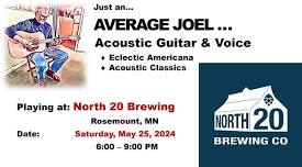 Just An Average Joel playing at North 20 Brewing in Rosemount, MN