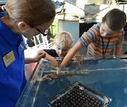 Ocean Odyssey: Shark Touch Tank