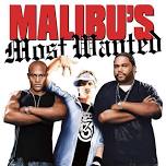 Movie Night - Malibu’s Most Wanted