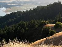 Photograph Mt. Tamalpais and Bolinas Ridge - Late Spring