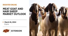 Meat Goat and Hair Sheep Outlook