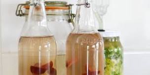 Ferment Your First Kombucha and Kefir - Hub Library