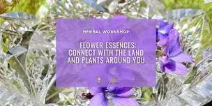 Flower Essences: Connect with the Land and Plants Around You