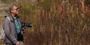 Birdwatching in Dumfries and Galloway