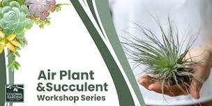 Air Plant & Succulent Workshop