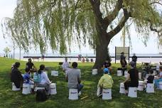 Free Bucket Drumming in Bronte Park