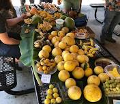 Gainesville Fruitluck: Mango & Lychee Season