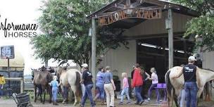 Horse Camp July 23-25, Ages 12-18