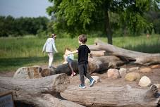 Habitat Hike for Young Explorers