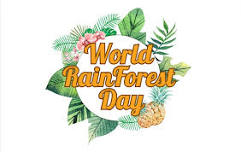 World Rainforest Day Craft session @ Chingford Library