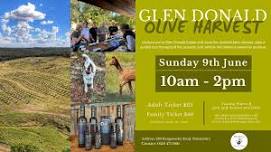 Glen Donald Estate Olive Harvest