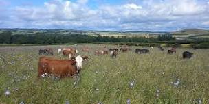 SOPA / Whitriggs Farm Walk