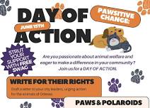 Pawsitive Change: Day of Action