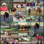 Invercargill Horsemanship Workshop