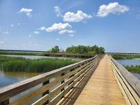 Guided Paddle in the Delta