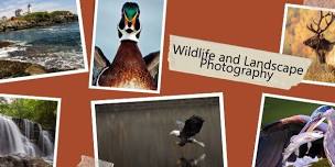 Bird, Wildlife, & Landscape Photography