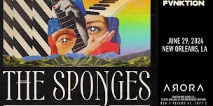 The Sponges