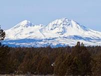 Hike   Whiskey   Ridge (dog friendly)