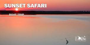 Birding by Boat Sunset Safari