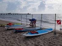 Paddle Board and Snorkel the Reef