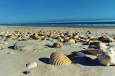 Bear Island Beachcombing Cruise