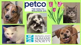 Petco Offsite Adoption Event