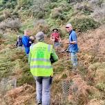 Community Planting - Diamond Lake