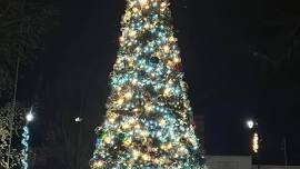 Mayor’s Christmas Tree Lighting