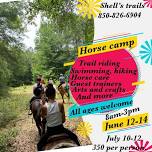 Horse Camp