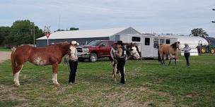 NHCA Ord Open Horse Show