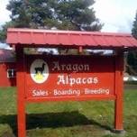 Aragon Alpacas Farm Tour