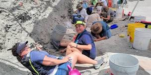 July 22nd Full-Day Dinosaur Dig