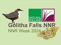 NNR Week 2024 - Golitha Falls Bioblitz