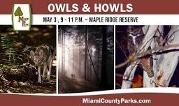 Owls & Howls